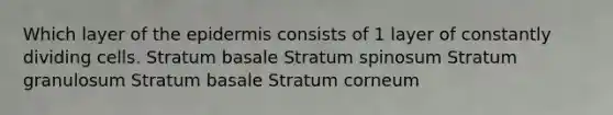 Which layer of the epidermis consists of 1 layer of constantly dividing cells. Stratum basale Stratum spinosum Stratum granulosum Stratum basale Stratum corneum