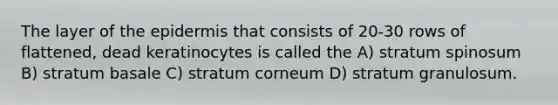 The layer of the epidermis that consists of 20-30 rows of flattened, dead keratinocytes is called the A) stratum spinosum B) stratum basale C) stratum corneum D) stratum granulosum.