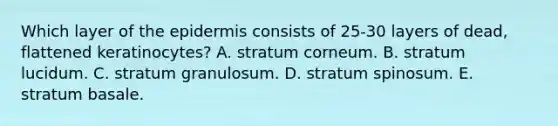 Which layer of the epidermis consists of 25-30 layers of dead, flattened keratinocytes? A. stratum corneum. B. stratum lucidum. C. stratum granulosum. D. stratum spinosum. E. stratum basale.