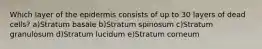 Which layer of the epidermis consists of up to 30 layers of dead cells? a)Stratum basale b)Stratum spinosum c)Stratum granulosum d)Stratum lucidum e)Stratum corneum