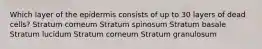 Which layer of the epidermis consists of up to 30 layers of dead cells? Stratum corneum Stratum spinosum Stratum basale Stratum lucidum Stratum corneum Stratum granulosum