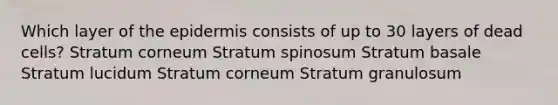 Which layer of the epidermis consists of up to 30 layers of dead cells? Stratum corneum Stratum spinosum Stratum basale Stratum lucidum Stratum corneum Stratum granulosum