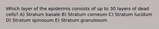 Which layer of the epidermis consists of up to 30 layers of dead cells? A) Stratum basale B) Stratum corneum C) Stratum lucidum D) Stratum spinosum E) Stratum granulosum