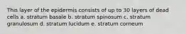 This layer of the epidermis consists of up to 30 layers of dead cells a. stratum basale b. stratum spinosum c. stratum granulosum d. stratum lucidum e. stratum corneum