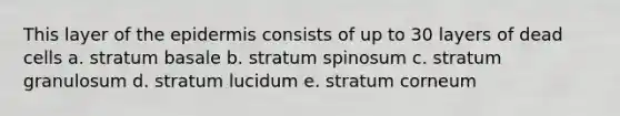 This layer of the epidermis consists of up to 30 layers of dead cells a. stratum basale b. stratum spinosum c. stratum granulosum d. stratum lucidum e. stratum corneum