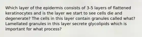 Which layer of the epidermis consists of 3-5 layers of flattened keratinocytes and is the layer we start to see cells die and degenerate? The cells in this layer contain granules called what? Lamellated granules in this layer secrete glycolipids which is important for what process?