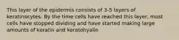 This layer of the epidermis consists of 3-5 layers of keratinocytes. By the time cells have reached this layer, most cells have stopped dividing and have started making large amounts of keratin and keratohyalin