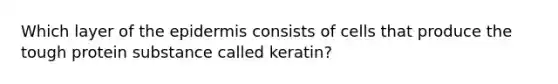 Which layer of the epidermis consists of cells that produce the tough protein substance called keratin?