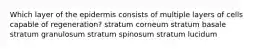 Which layer of the epidermis consists of multiple layers of cells capable of regeneration? stratum corneum stratum basale stratum granulosum stratum spinosum stratum lucidum