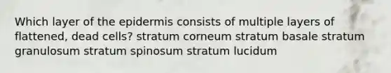 Which layer of the epidermis consists of multiple layers of flattened, dead cells? stratum corneum stratum basale stratum granulosum stratum spinosum stratum lucidum