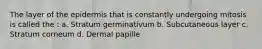 The layer of the epidermis that is constantly undergoing mitosis is called the : a. Stratum germinativum b. Subcutaneous layer c. Stratum corneum d. Dermal papille