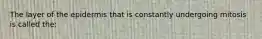 The layer of the epidermis that is constantly undergoing mitosis is called the: