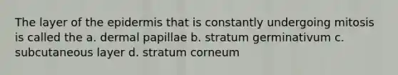 The layer of <a href='https://www.questionai.com/knowledge/kBFgQMpq6s-the-epidermis' class='anchor-knowledge'>the epidermis</a> that is constantly undergoing mitosis is called the a. dermal papillae b. stratum germinativum c. subcutaneous layer d. stratum corneum