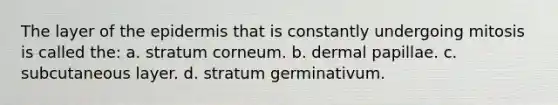 The layer of the epidermis that is constantly undergoing mitosis is called the: a. stratum corneum. b. dermal papillae. c. subcutaneous layer. d. stratum germinativum.