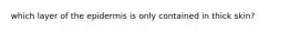 which layer of the epidermis is only contained in thick skin?