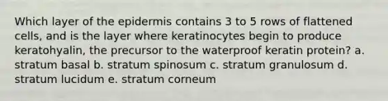 Which layer of the epidermis contains 3 to 5 rows of flattened cells, and is the layer where keratinocytes begin to produce keratohyalin, the precursor to the waterproof keratin protein? a. stratum basal b. stratum spinosum c. stratum granulosum d. stratum lucidum e. stratum corneum