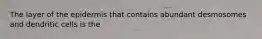 The layer of the epidermis that contains abundant desmosomes and dendritic cells is the