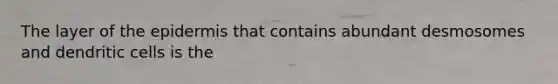 The layer of the epidermis that contains abundant desmosomes and dendritic cells is the