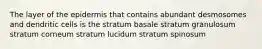 The layer of the epidermis that contains abundant desmosomes and dendritic cells is the stratum basale stratum granulosum stratum corneum stratum lucidum stratum spinosum