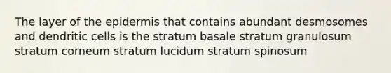 The layer of the epidermis that contains abundant desmosomes and dendritic cells is the stratum basale stratum granulosum stratum corneum stratum lucidum stratum spinosum