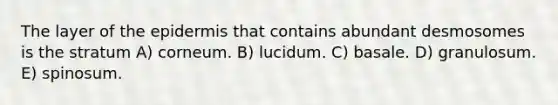 The layer of <a href='https://www.questionai.com/knowledge/kBFgQMpq6s-the-epidermis' class='anchor-knowledge'>the epidermis</a> that contains abundant desmosomes is the stratum A) corneum. B) lucidum. C) basale. D) granulosum. E) spinosum.