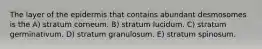 The layer of the epidermis that contains abundant desmosomes is the A) stratum corneum. B) stratum lucidum. C) stratum germinativum. D) stratum granulosum. E) stratum spinosum.