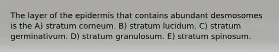 The layer of the epidermis that contains abundant desmosomes is the A) stratum corneum. B) stratum lucidum. C) stratum germinativum. D) stratum granulosum. E) stratum spinosum.