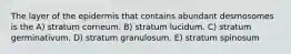 The layer of the epidermis that contains abundant desmosomes is the A) stratum corneum. B) stratum lucidum. C) stratum germinativum. D) stratum granulosum. E) stratum spinosum