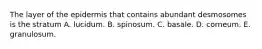 The layer of the epidermis that contains abundant desmosomes is the stratum A. lucidum. B. spinosum. C. basale. D. corneum. E. granulosum.