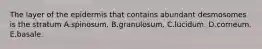 The layer of the epidermis that contains abundant desmosomes is the stratum A.spinosum. B.granulosum. C.lucidum. D.corneum. E.basale.