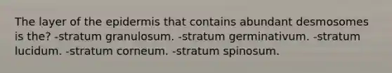 The layer of the epidermis that contains abundant desmosomes is the? -stratum granulosum. -stratum germinativum. -stratum lucidum. -stratum corneum. -stratum spinosum.