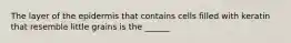 The layer of the epidermis that contains cells filled with keratin that resemble little grains is the ______