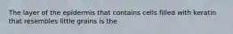 The layer of the epidermis that contains cells filled with keratin that resembles little grains is the