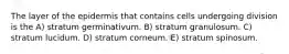 The layer of the epidermis that contains cells undergoing division is the A) stratum germinativum. B) stratum granulosum. C) stratum lucidum. D) stratum corneum. E) stratum spinosum.