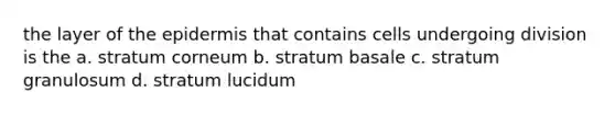 the layer of the epidermis that contains cells undergoing division is the a. stratum corneum b. stratum basale c. stratum granulosum d. stratum lucidum