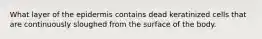 What layer of the epidermis contains dead keratinized cells that are continuously sloughed from the surface of the body.