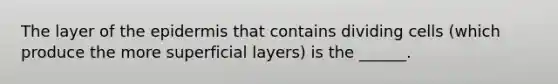 The layer of the epidermis that contains dividing cells (which produce the more superficial layers) is the ______.