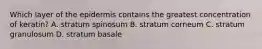 Which layer of the epidermis contains the greatest concentration of keratin? A. stratum spinosum B. stratum corneum C. stratum granulosum D. stratum basale