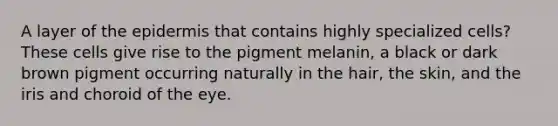 A layer of the epidermis that contains highly specialized cells? These cells give rise to the pigment melanin, a black or dark brown pigment occurring naturally in the hair, the skin, and the iris and choroid of the eye.