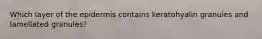 Which layer of the epidermis contains keratohyalin granules and lamellated granules?