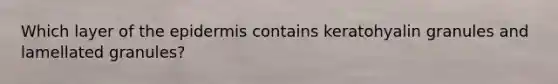 Which layer of <a href='https://www.questionai.com/knowledge/kBFgQMpq6s-the-epidermis' class='anchor-knowledge'>the epidermis</a> contains keratohyalin granules and lamellated granules?