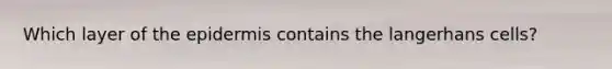 Which layer of the epidermis contains the langerhans cells?