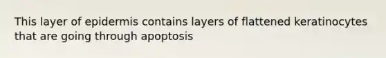 This layer of epidermis contains layers of flattened keratinocytes that are going through apoptosis