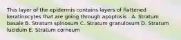 This layer of the epidermis contains layers of flattened keratinocytes that are going through apoptosis . A. Stratum basale B. Stratum spinosum C. Stratum granulosum D. Stratum lucidum E. Stratum corneum