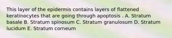 This layer of the epidermis contains layers of flattened keratinocytes that are going through apoptosis . A. Stratum basale B. Stratum spinosum C. Stratum granulosum D. Stratum lucidum E. Stratum corneum