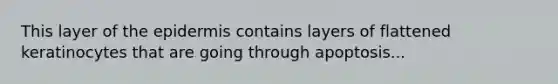 This layer of the epidermis contains layers of flattened keratinocytes that are going through apoptosis...