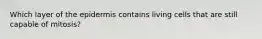 Which layer of the epidermis contains living cells that are still capable of mitosis?