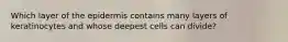 Which layer of the epidermis contains many layers of keratinocytes and whose deepest cells can divide?