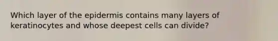 Which layer of the epidermis contains many layers of keratinocytes and whose deepest cells can divide?