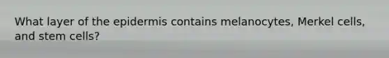 What layer of <a href='https://www.questionai.com/knowledge/kBFgQMpq6s-the-epidermis' class='anchor-knowledge'>the epidermis</a> contains melanocytes, Merkel cells, and stem cells?